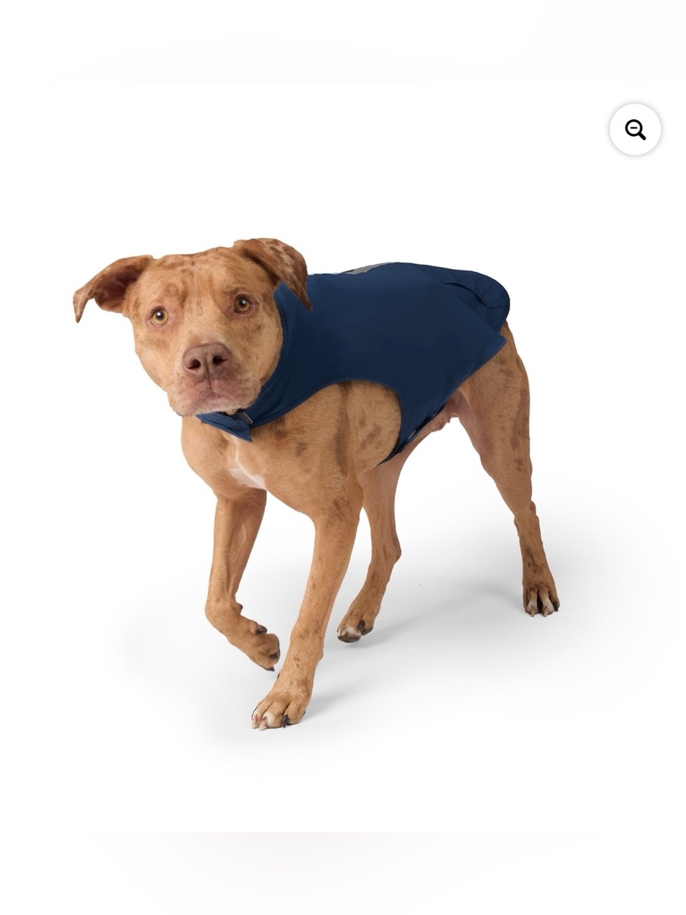 Free Country Waterproof Doggy Rain Jacket